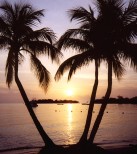 negril_sunset-wallpaper.jpg