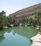 oman06.1159980600.wadi_oasis.jpg