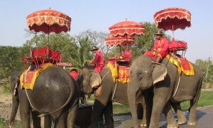 Ayutthaya_Elephant_Camp_in_Thailand_001.JPG