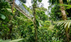 la fortuna hanging bridge.jpg