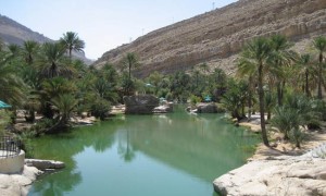 oman06.1159980600.wadi_oasis.jpg