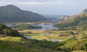 paysages-killarney-00080.jpg