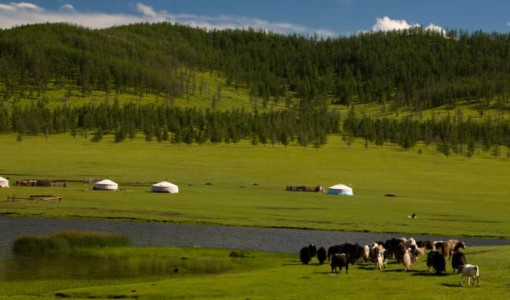 img/travel/Mongolija-NaadamFestival_20170512105338.jpeg