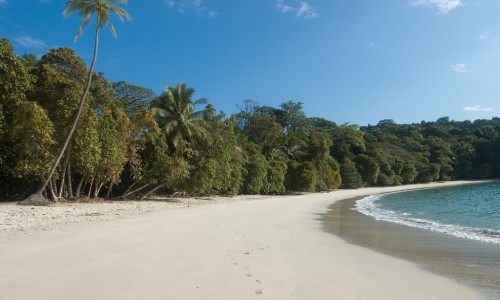 manuel antonio1.jpg