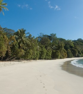 manuel antonio1.jpg