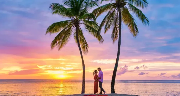 img/news/_20261006101610.webp
