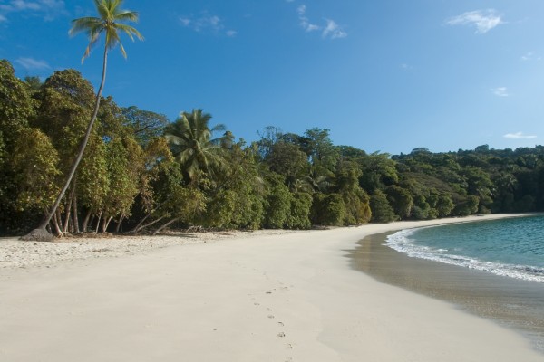 manuel antonio1.jpg