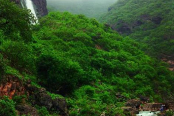 salalah_oman.JPG