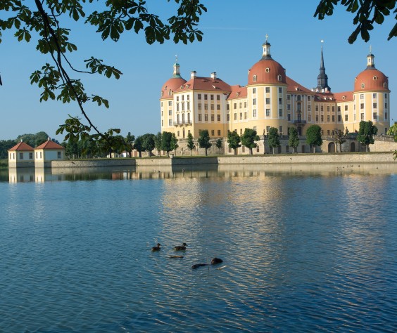 moritz-castle-2537726_1920.jpg