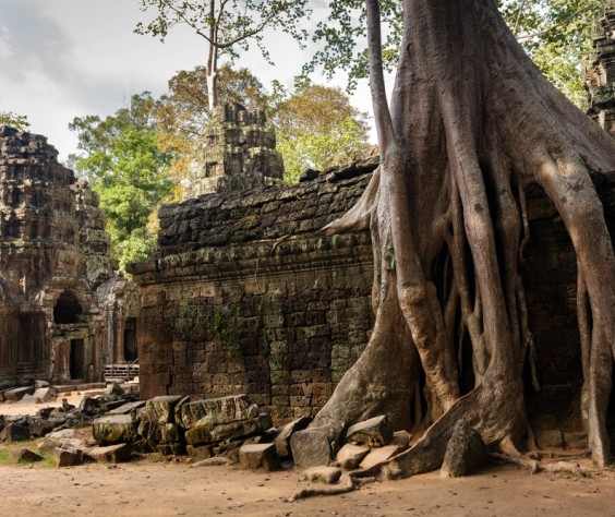 ta prohm_angkor.jpg