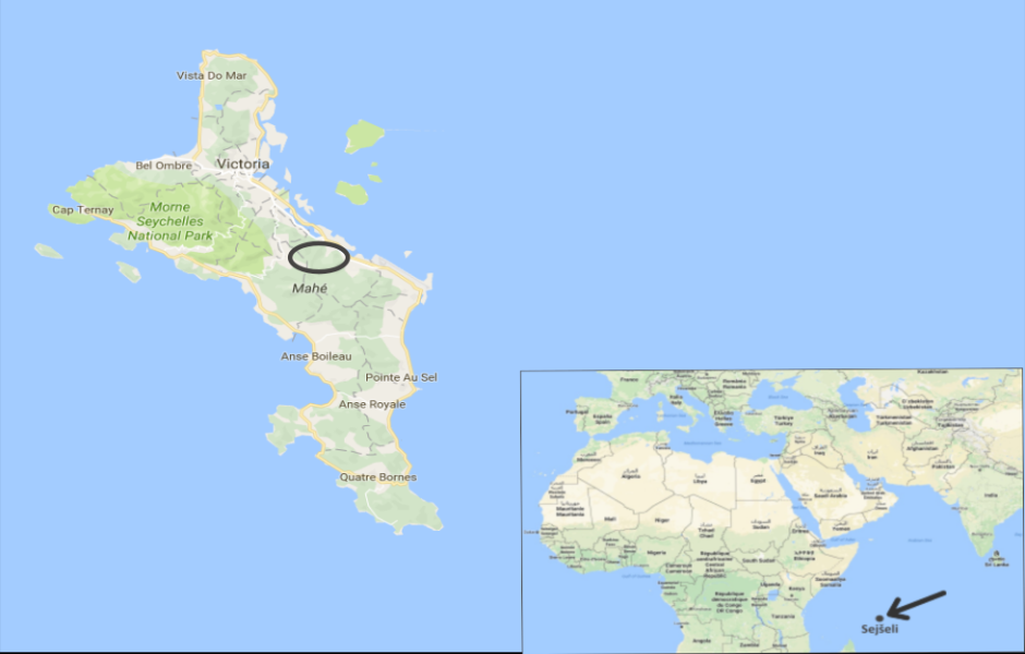 carana4.png