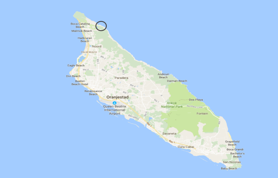 druif_beach.png