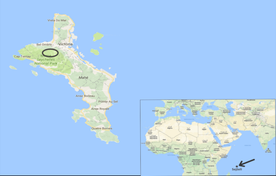 kempinski9.png