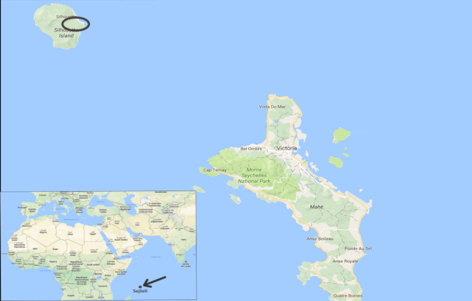 labriz.png