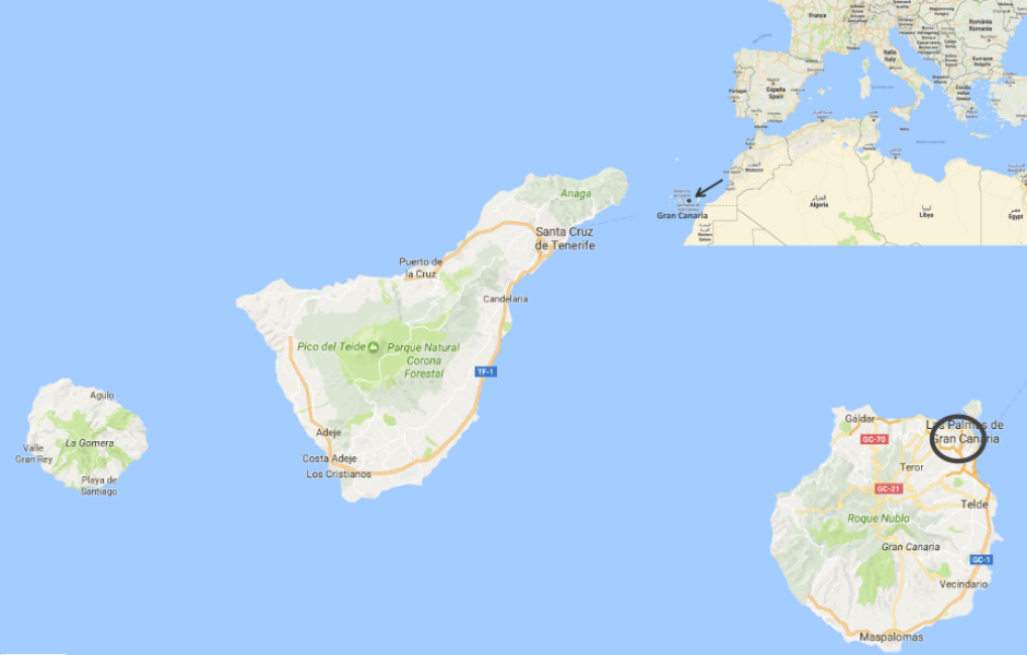 las_palmas2.png