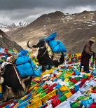 Tibet-Mt.Kailash-Creative-Commons-by-david-ducoin@flickr.png