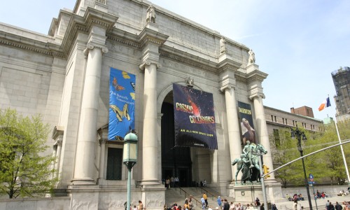 American_Museum_of_Natural_History_New_York_City.jpg