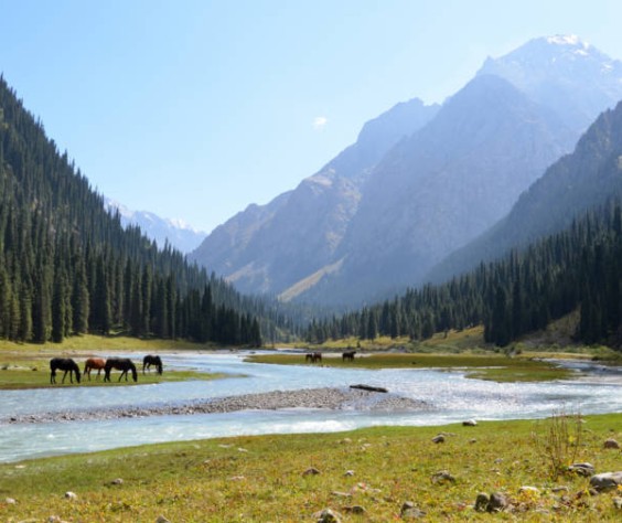Putovanje-u-Kirgistan-Perzepolis-photo-Prashant-Ram-flickr-.jpg