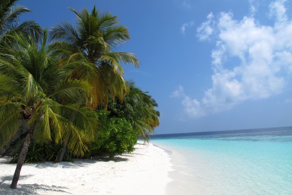 Maldives-beach.jpg
